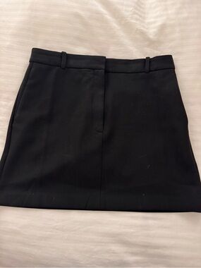 Babaton Mini Skirt-Aritzia